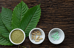 kratom leaves
