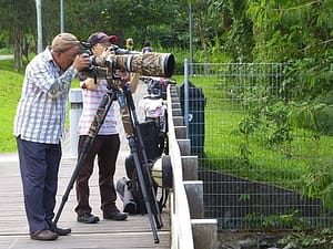 camera tripod