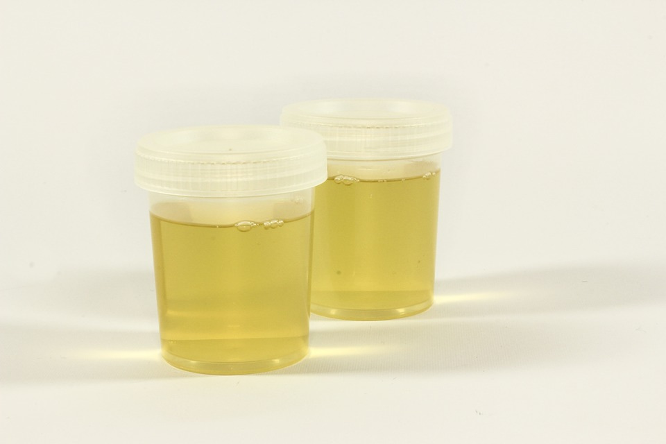 fake urine